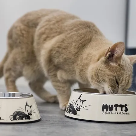 Ξενοδοχείο Guesthouse Villa Laukkoski Laukkoski